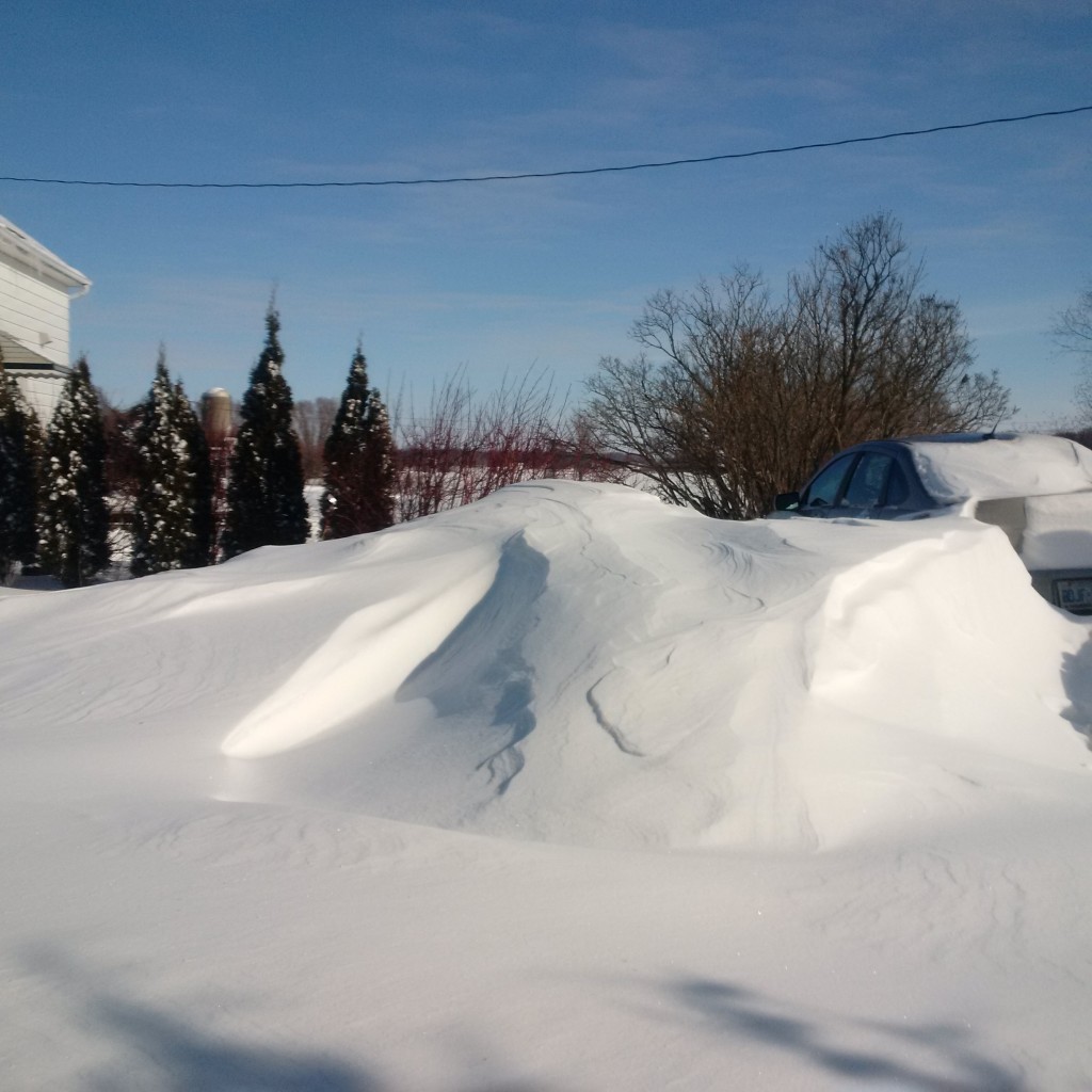 Snowdrifts on Elgin County farm 2015