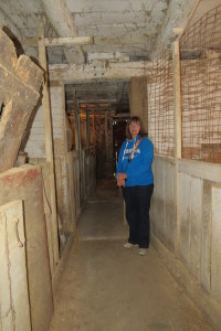 Part of the big barn's centre aisle looking east, 2015 with Susan