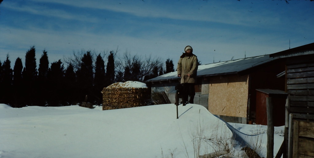 Mom on a snowdrift - Essex County farm 1976. Notice the corncrib made of snow fence for excess corn that year. Photo Walter Roadhouse.