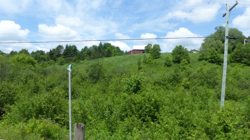 Remnants of the Bracebridge Farm seen from Fraserburg Rd in 2015