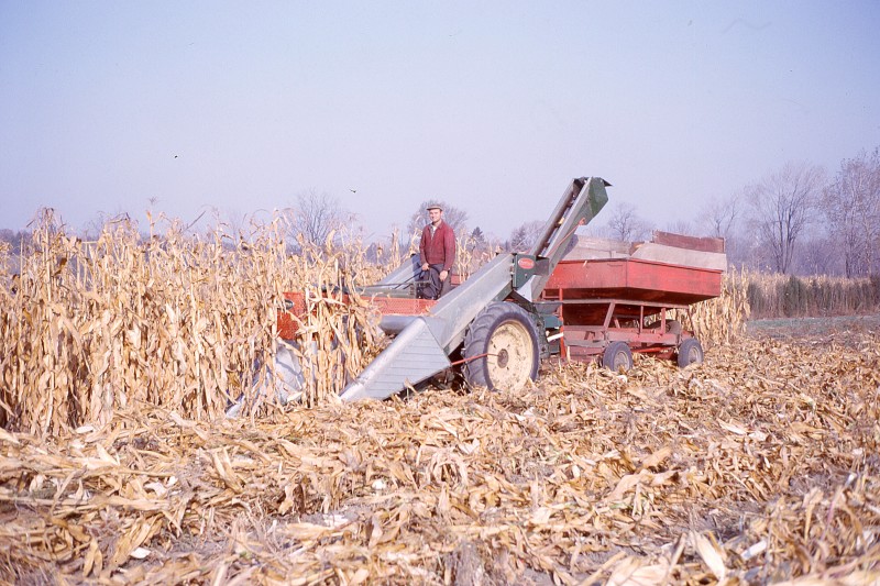 Uncle Stanley running the two-row corn picker, 1963-64