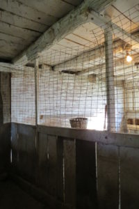 Inside the big barn- pigpens converted to chicken pen. 2015 