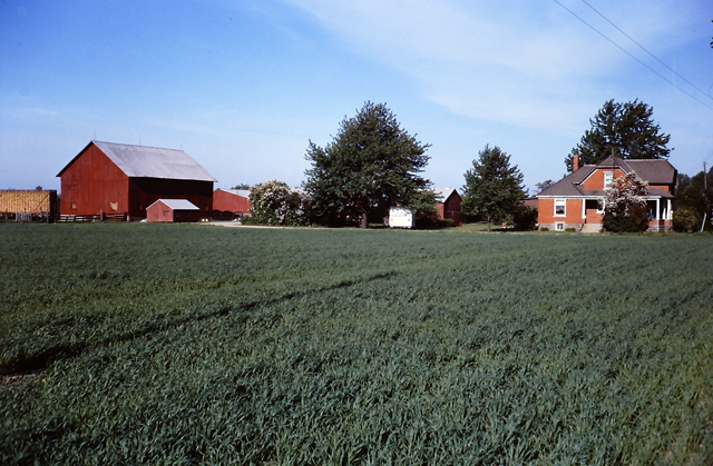 Farm house and barn