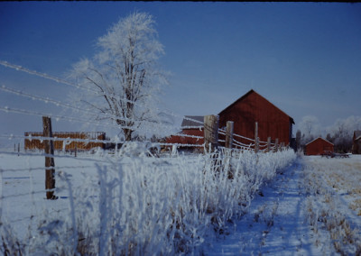 Farm in Winter