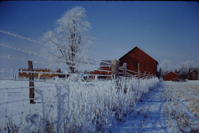 Essex County Farm in Winter