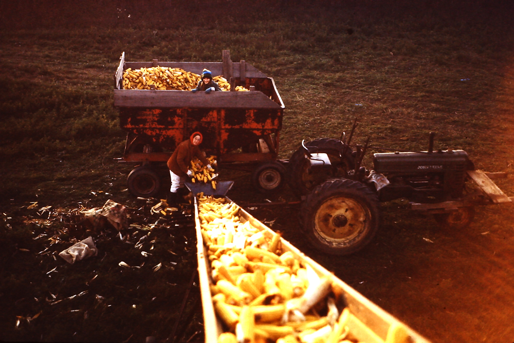 1970’s Eleanor Roadhouse with Susan in the wagon loading the field corncrib