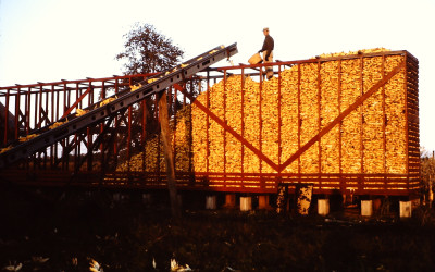 Building of a Corn Crib