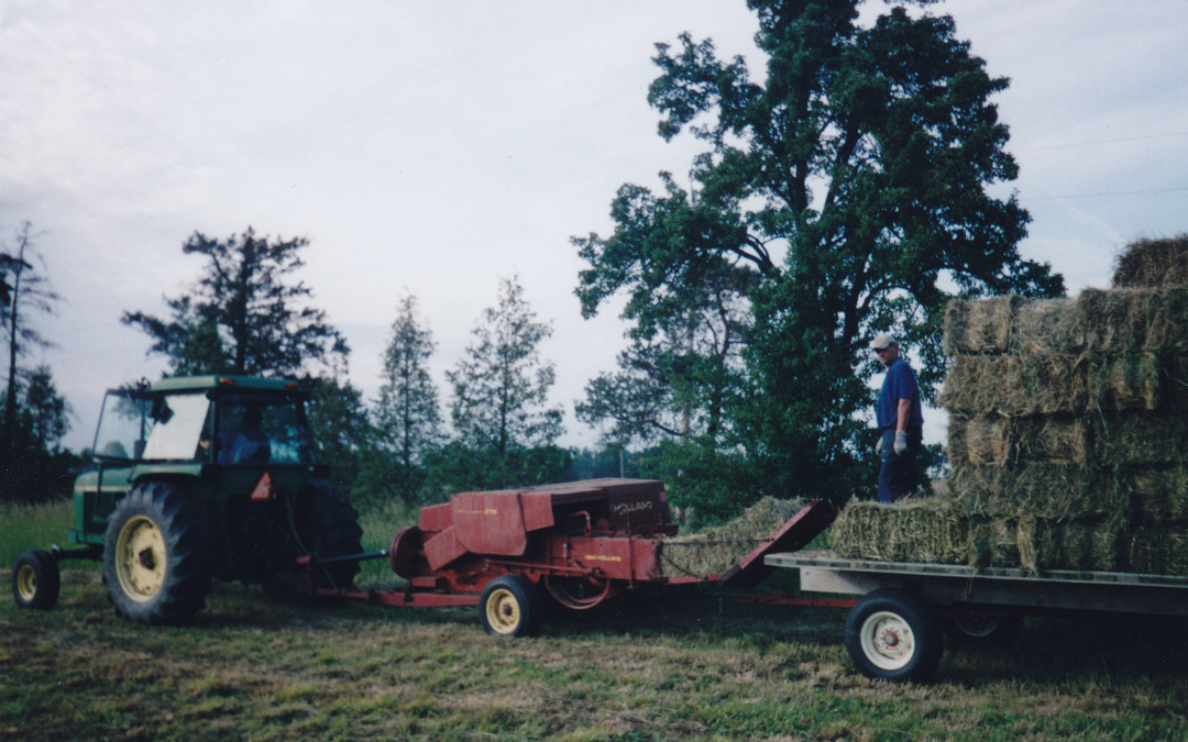 Haying in Elgin County