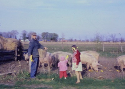 Dad, Susan and Pat feeding the sows