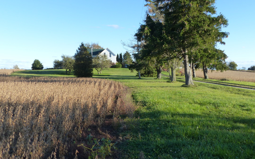 Our Elgin County farm, 2015