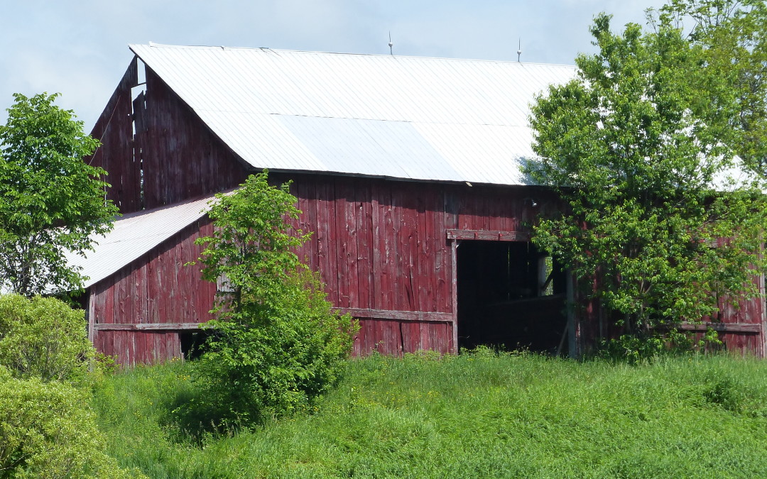 The Bracebridge Farm