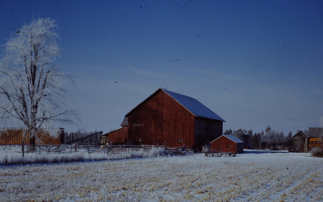 The Big Barn